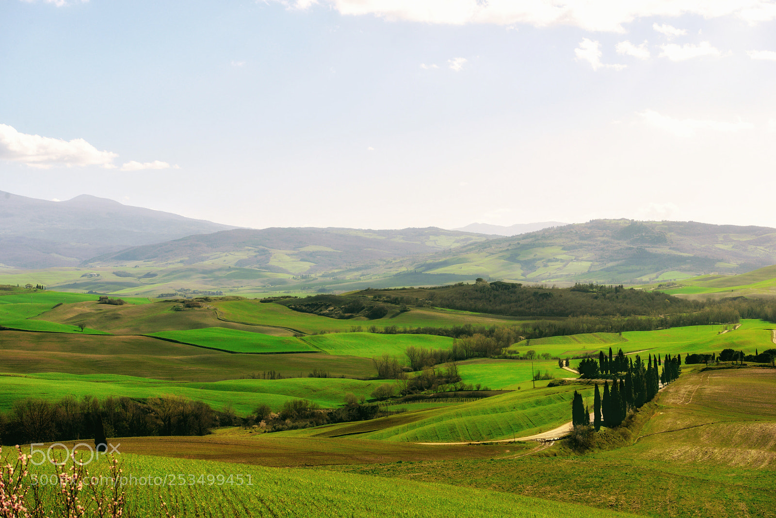 Nikon D610 sample photo. Val d'orcia, tuscany photography