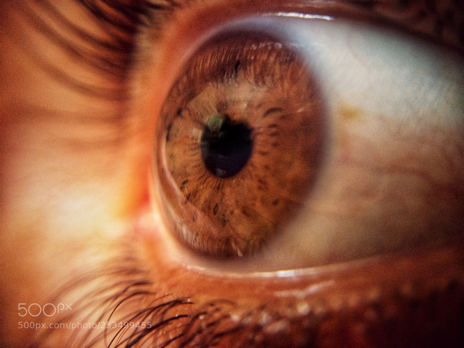 Apple iPhone 5s sample photo. Eye photography