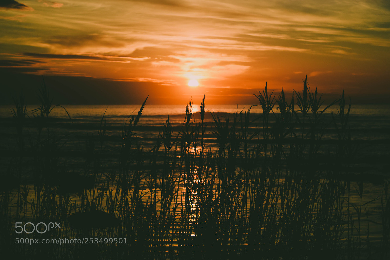 Nikon D5300 sample photo. Sunset photography