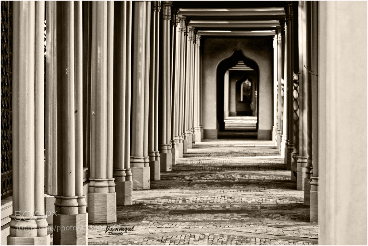 Canon EOS 7D sample photo. Schwetzingen photography