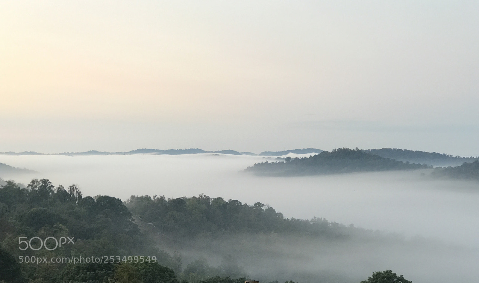 Apple iPhone 7 Plus sample photo. Foggy morning in ohio photography