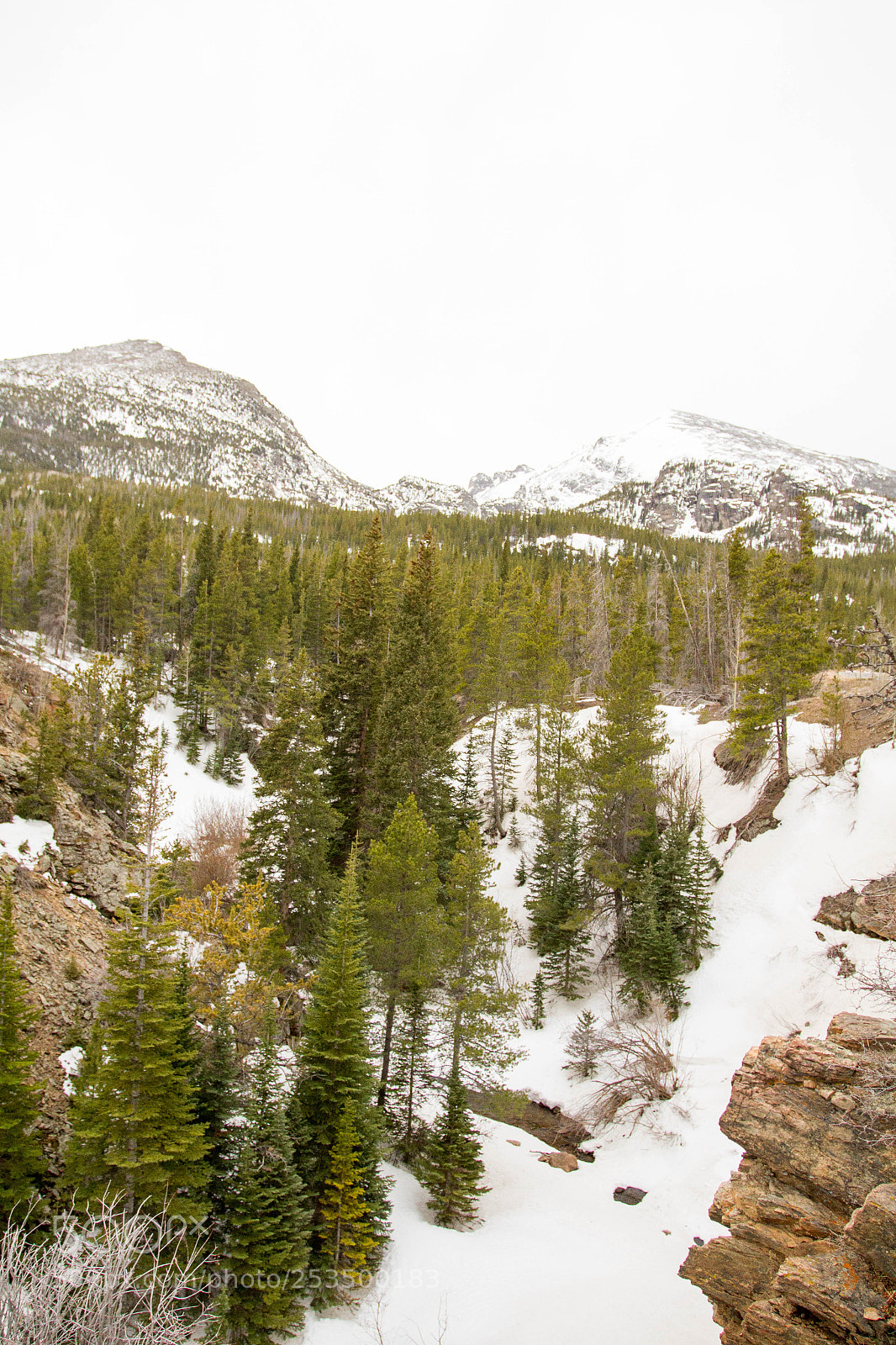 Canon EOS 7D sample photo. Rocky mountain national park photography