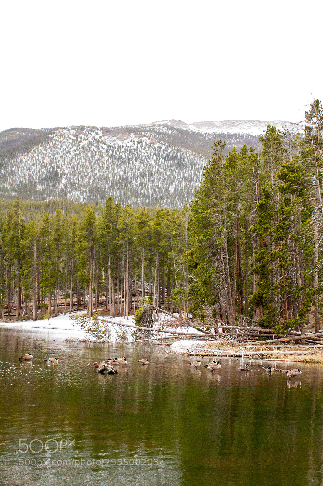 Canon EOS 7D sample photo. Rocky mountain national park photography