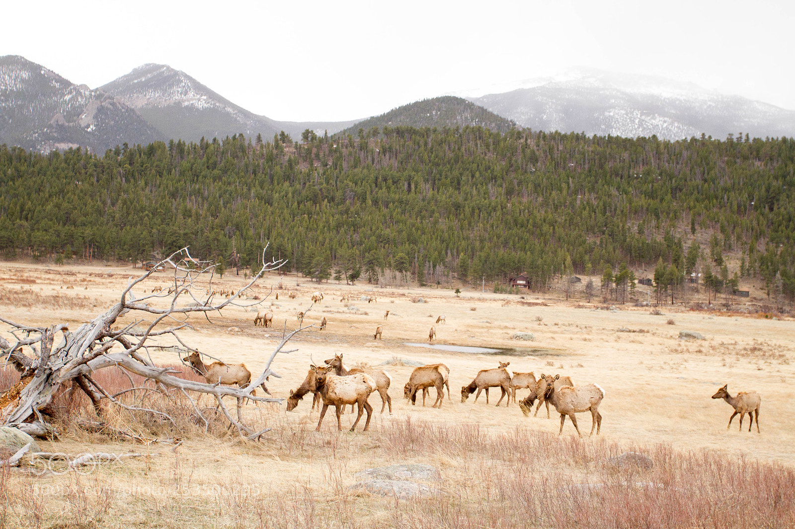 Canon EOS 7D sample photo. Rocky mountain national park photography