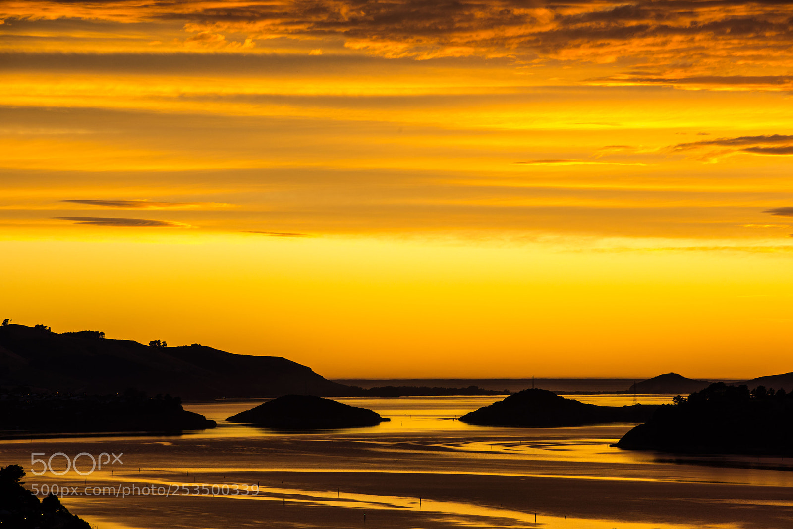 Nikon D810 sample photo. Otago harbour photography
