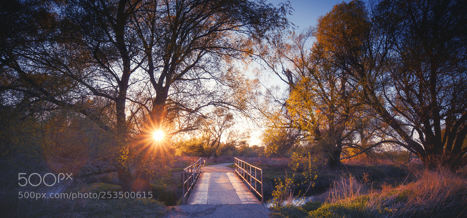 Pentax K-1 sample photo. Spring bridge photography