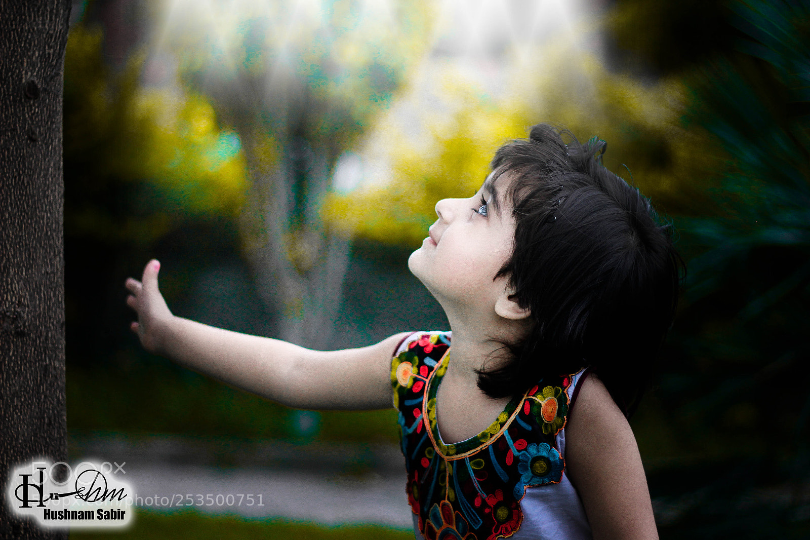 Canon EOS 60D sample photo. Img photography