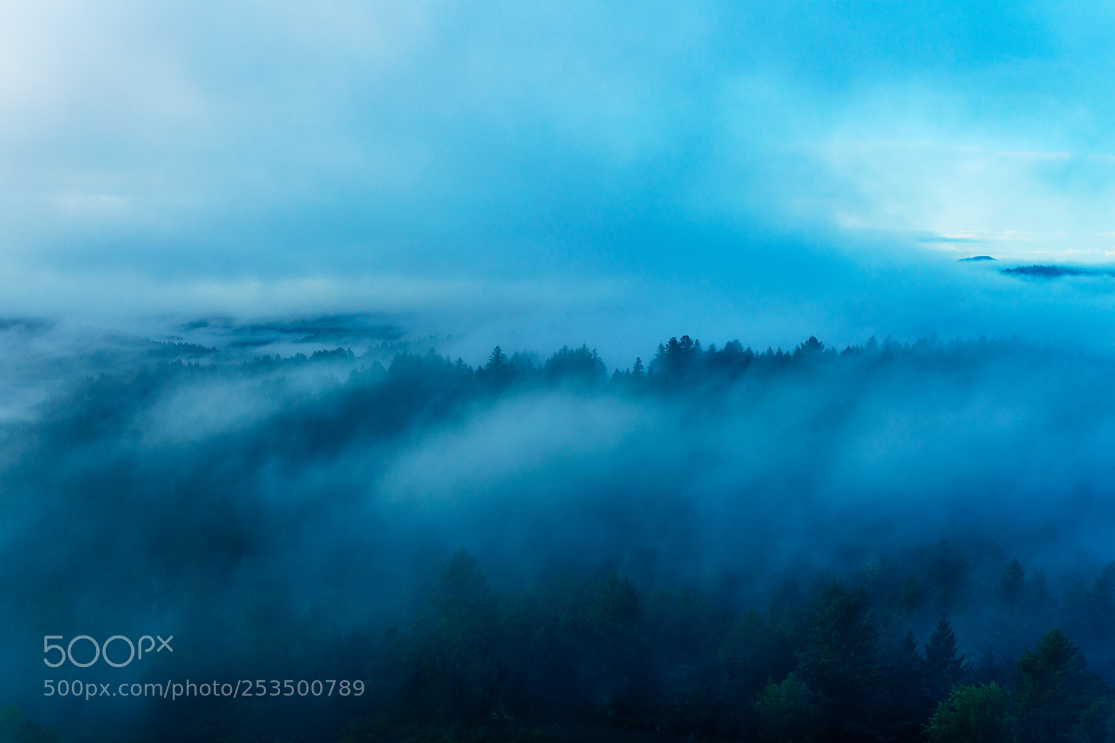 Sony a7 II sample photo. Blanket of fog photography