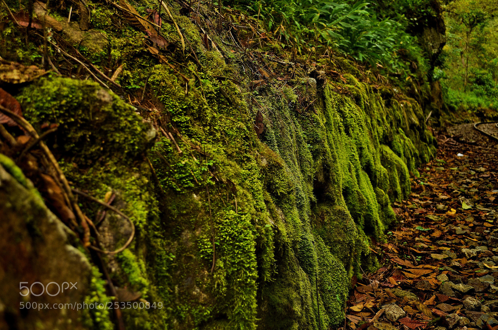 Nikon D5100 sample photo. Inca wall in the photography