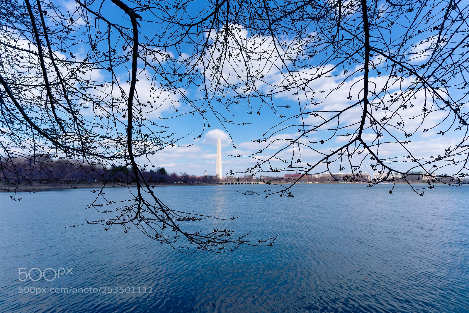 Sony a7R III sample photo. Spring in dc photography