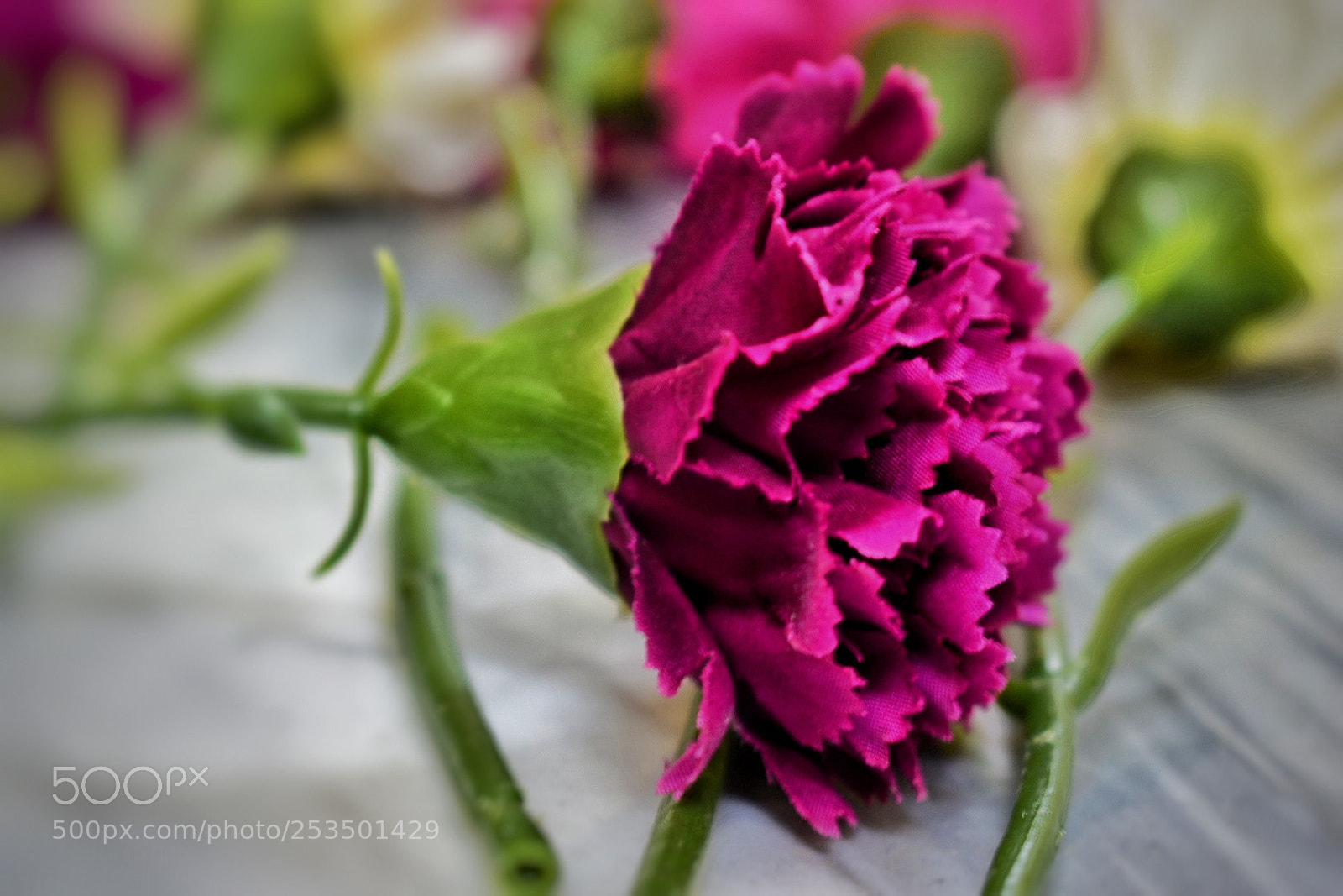 Nikon D5300 sample photo. Untitled photography