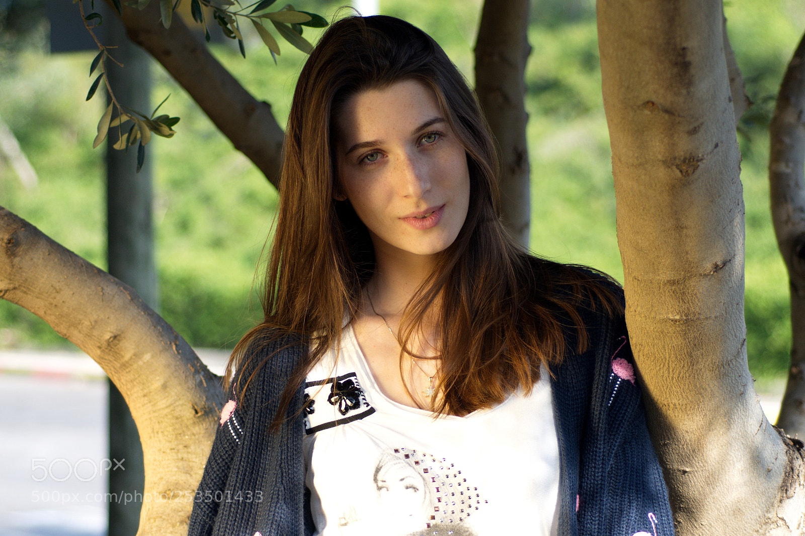 Nikon D7200 sample photo. Under an olive tree photography