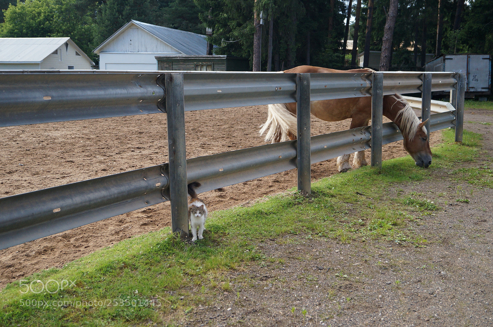 Sony SLT-A57 sample photo. Untitled photography