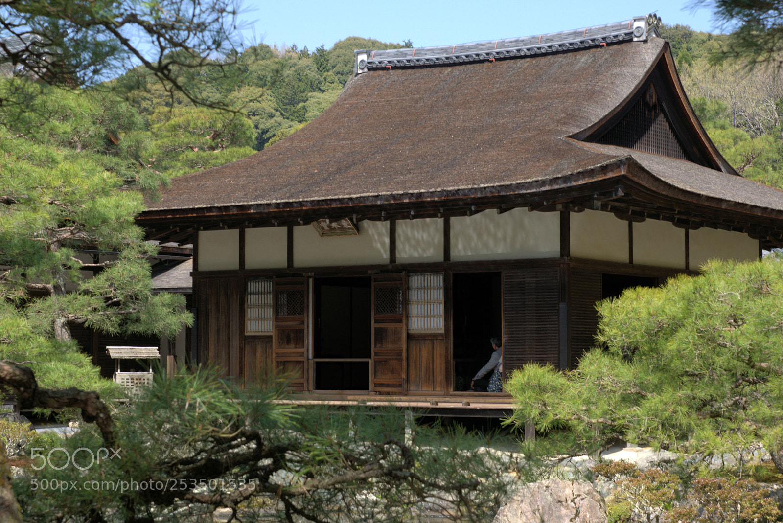 Sony ILCA-77M2 sample photo. Dsc photography