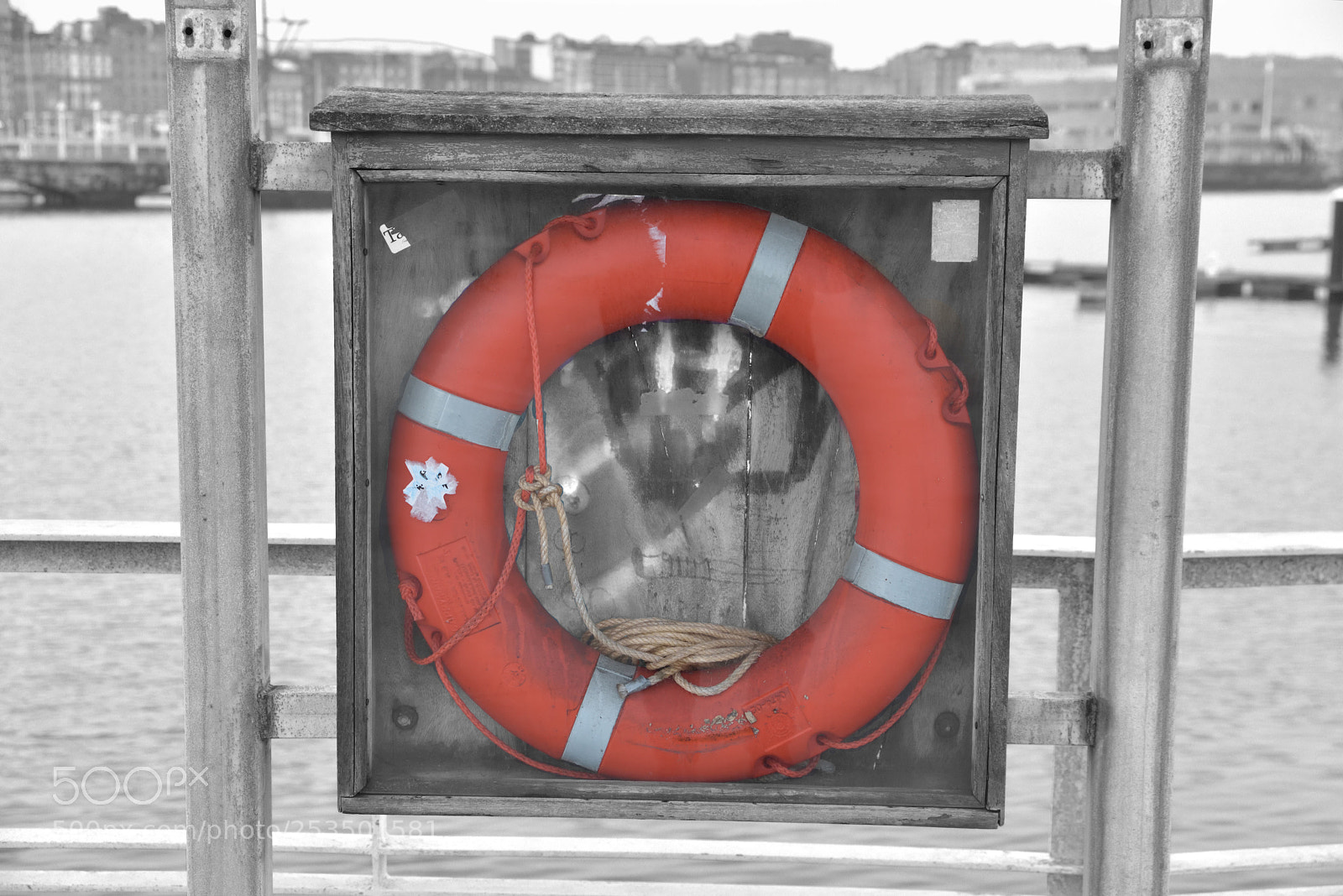 Nikon D810 sample photo. Rescue! photography