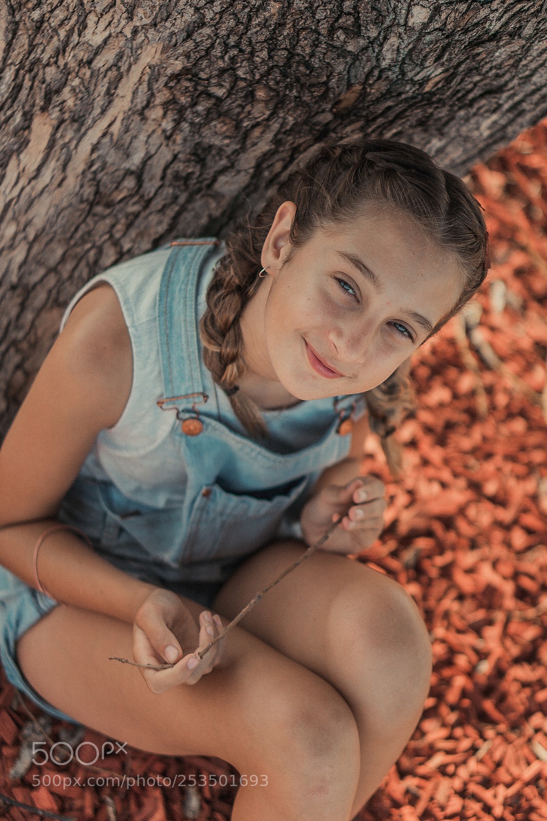 Sony a6000 sample photo. -=( ascinda )=- photography