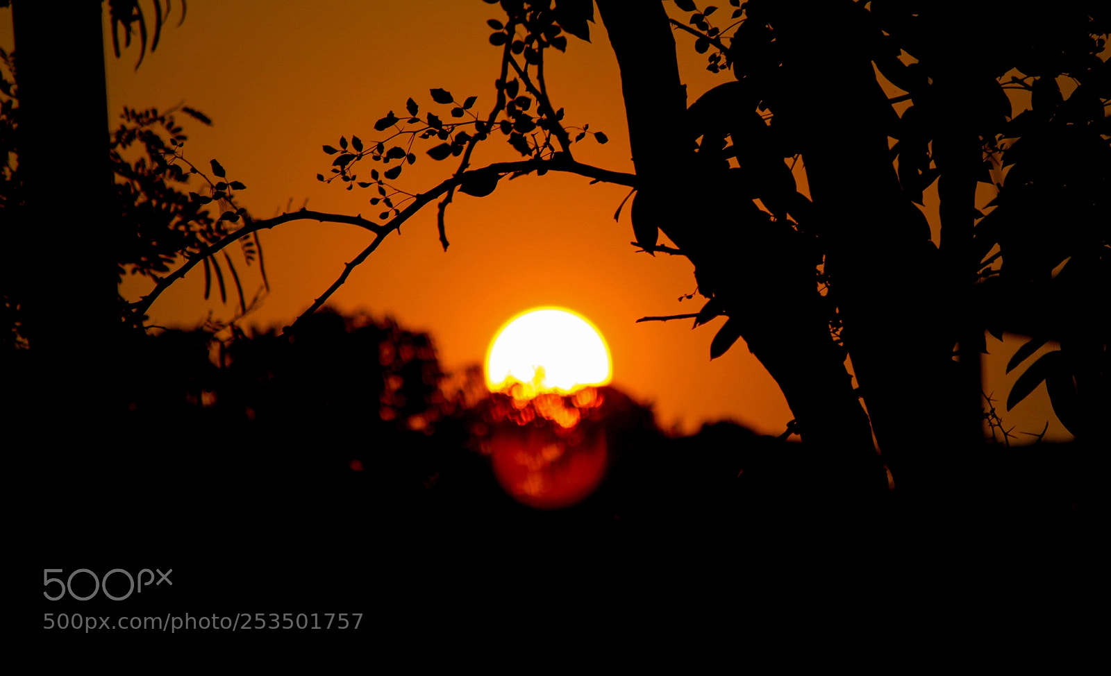 Canon EOS 700D (EOS Rebel T5i / EOS Kiss X7i) sample photo. Beautiful sunset photography