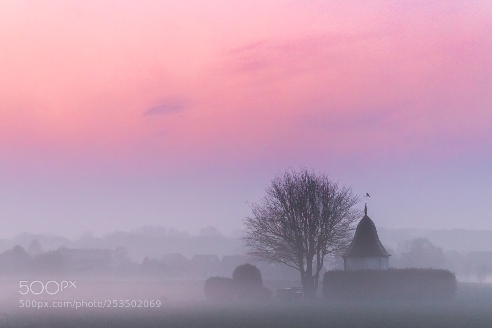 Canon EOS 6D Mark II sample photo. Foggy morning photography