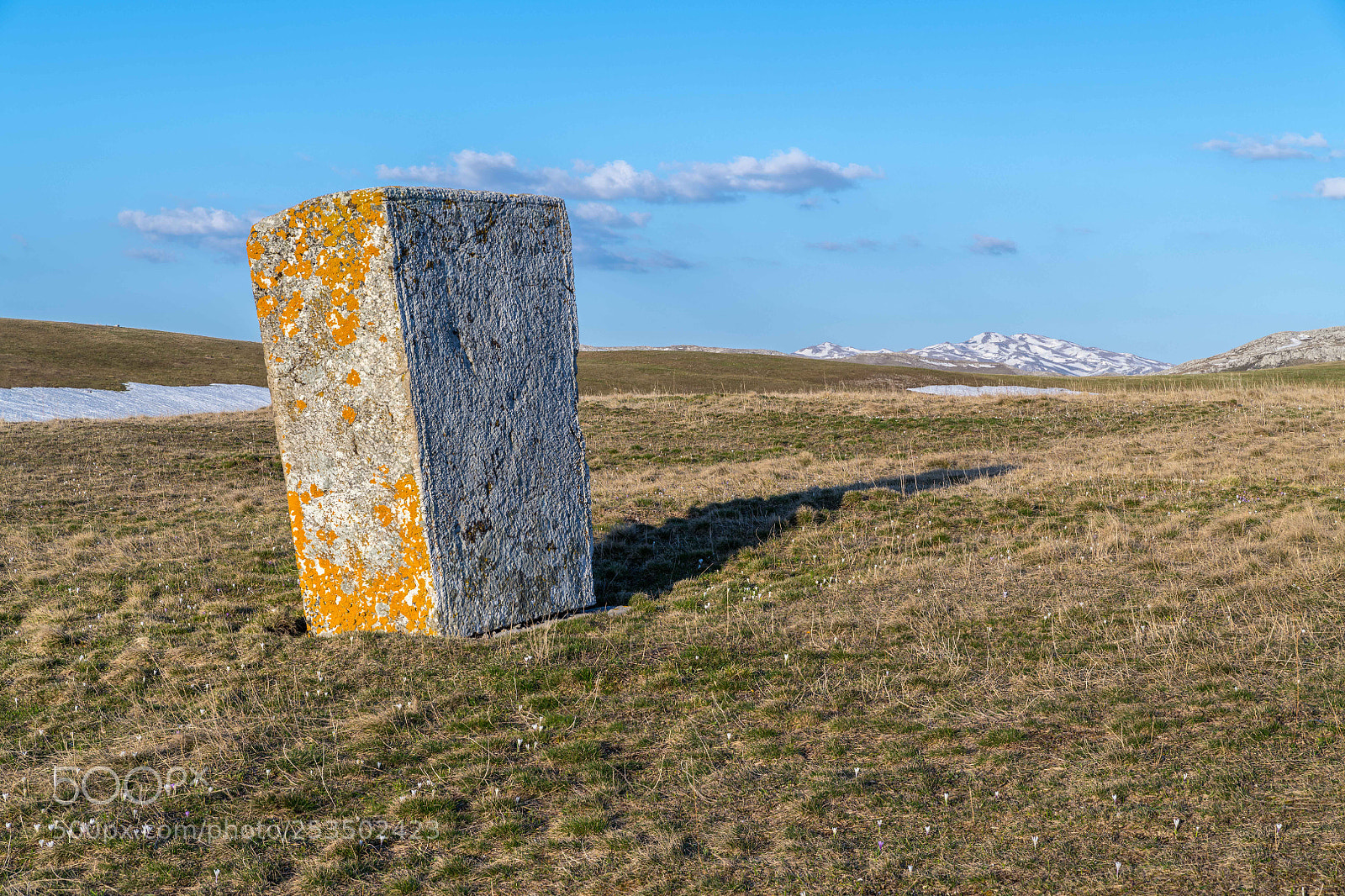 Nikon D850 sample photo. Morine 2 photography