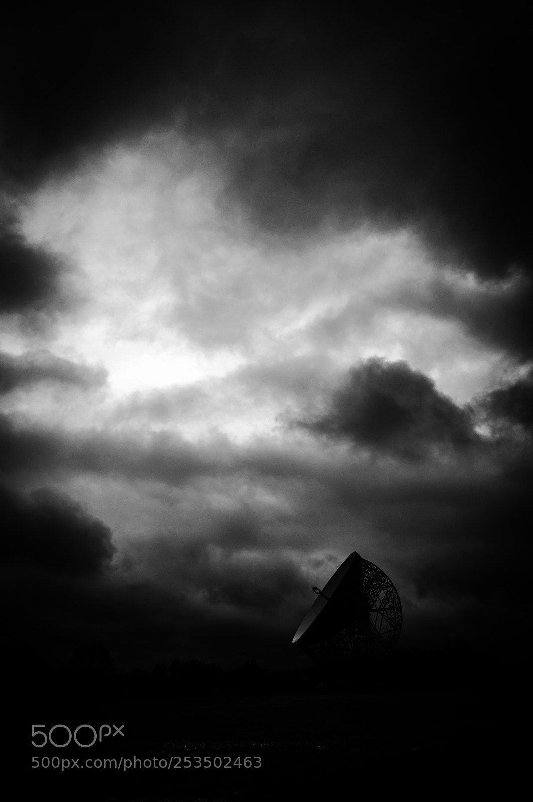 Nikon D3200 sample photo. Dish photography