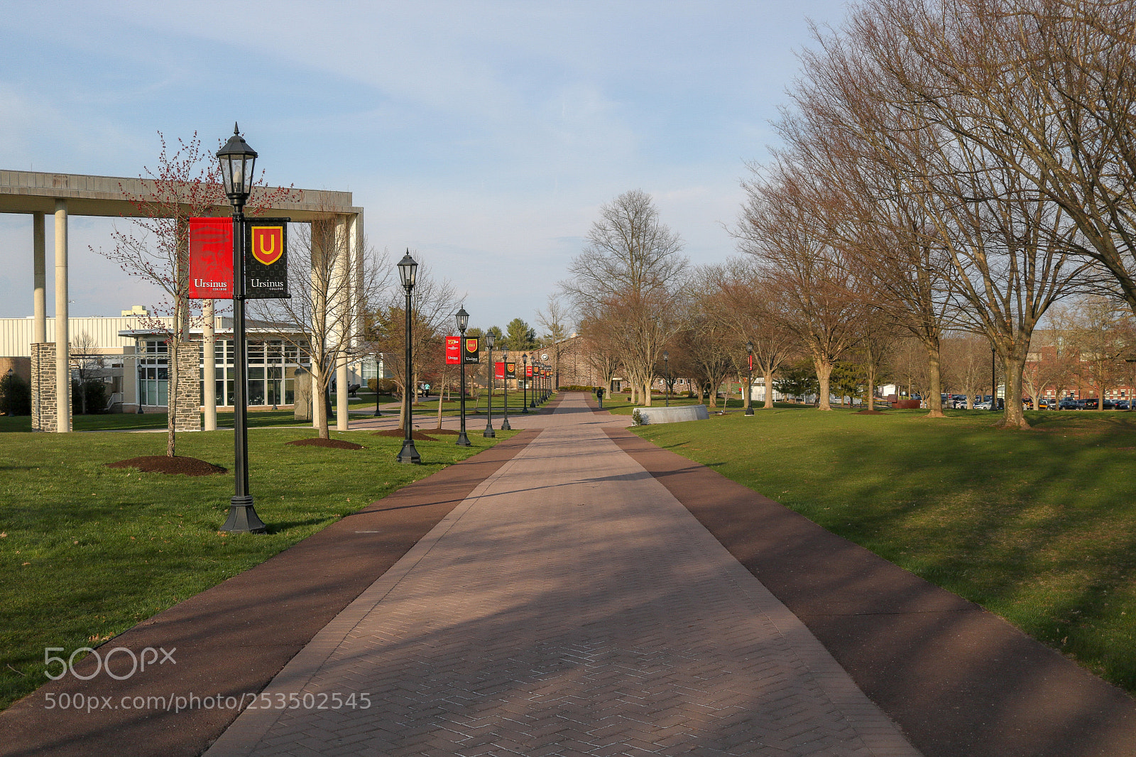 Canon EOS 750D (EOS Rebel T6i / EOS Kiss X8i) sample photo. Finally spring photography
