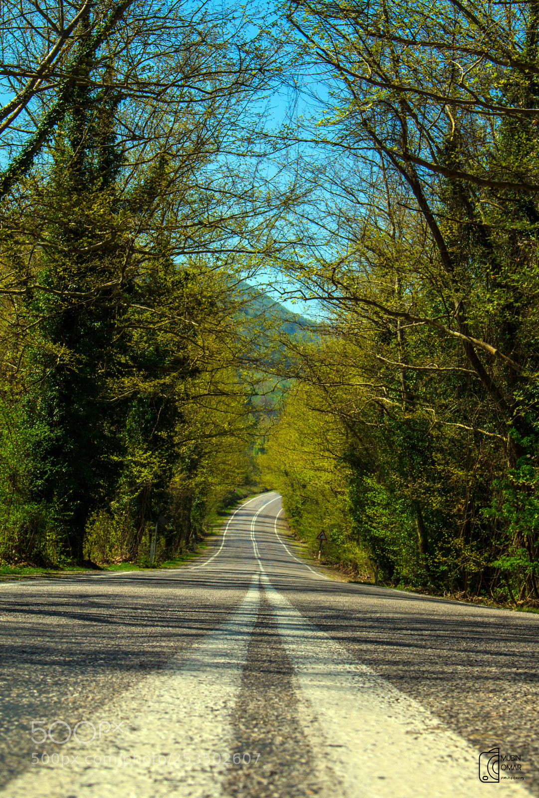 Canon EOS 70D sample photo. Let the roads guide photography