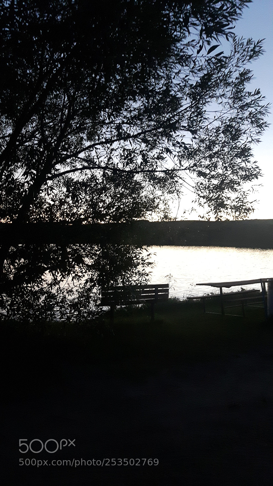 Samsung Galaxy S5 Neo sample photo. Natures beauty photography