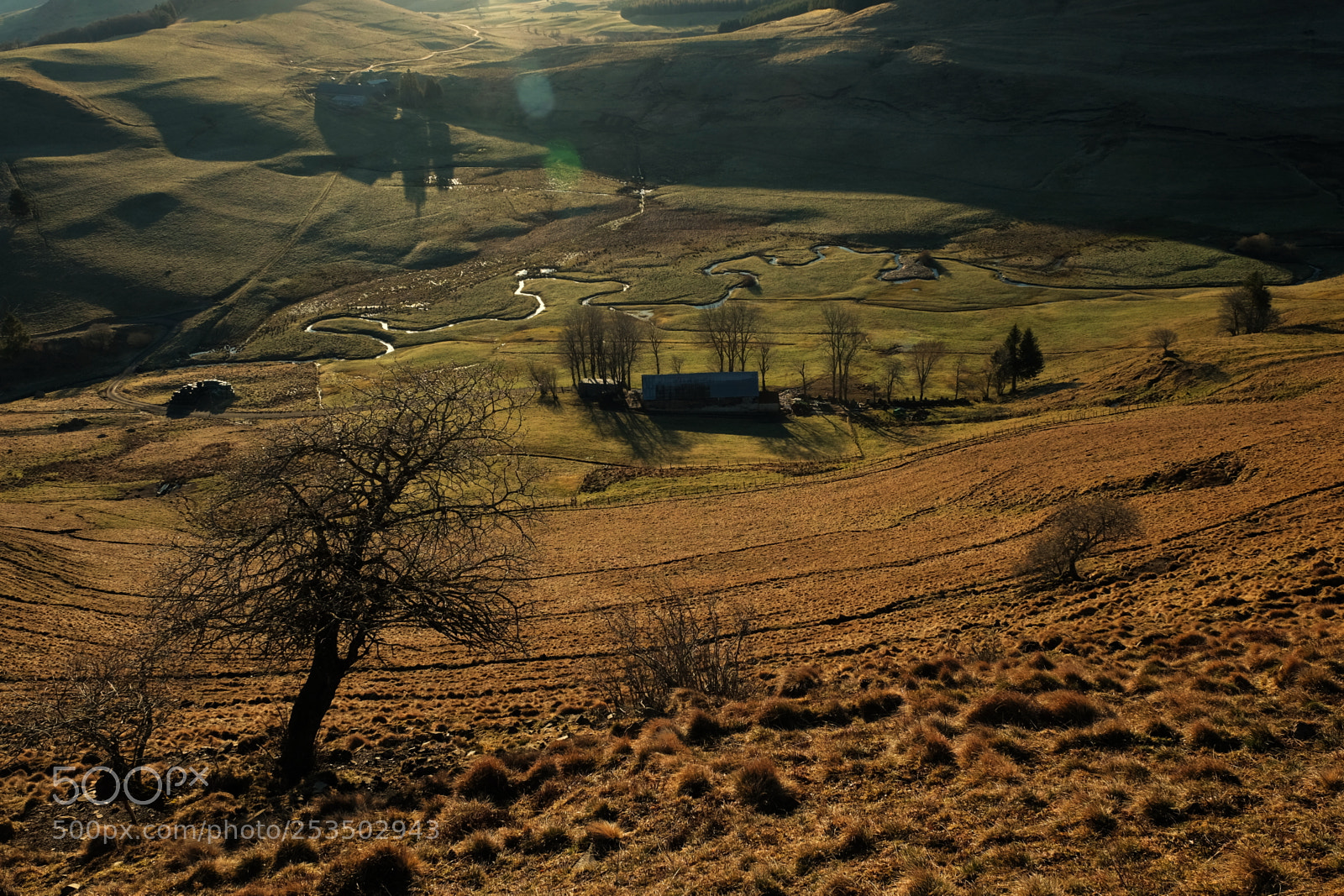 Fujifilm X-T1 sample photo. Dscf1430..jpg photography