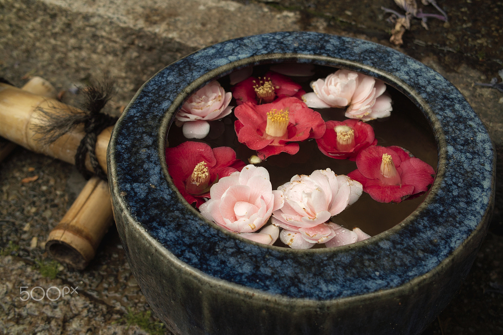 Sigma DP2 sample photo. Kyoto #94 photography