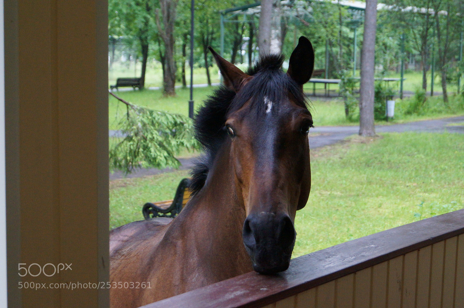 Sony SLT-A57 sample photo. Untitled photography