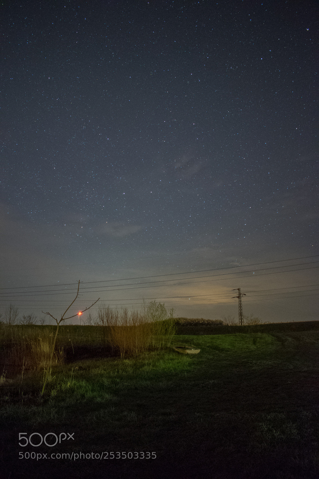 Nikon D5300 sample photo. 1 photography