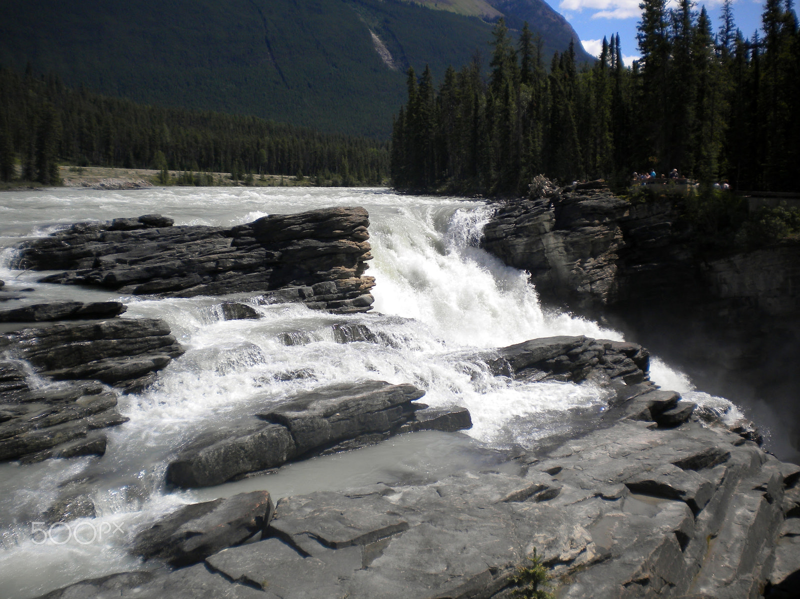 Nikon Coolpix S220 sample photo. Natures beauty photography