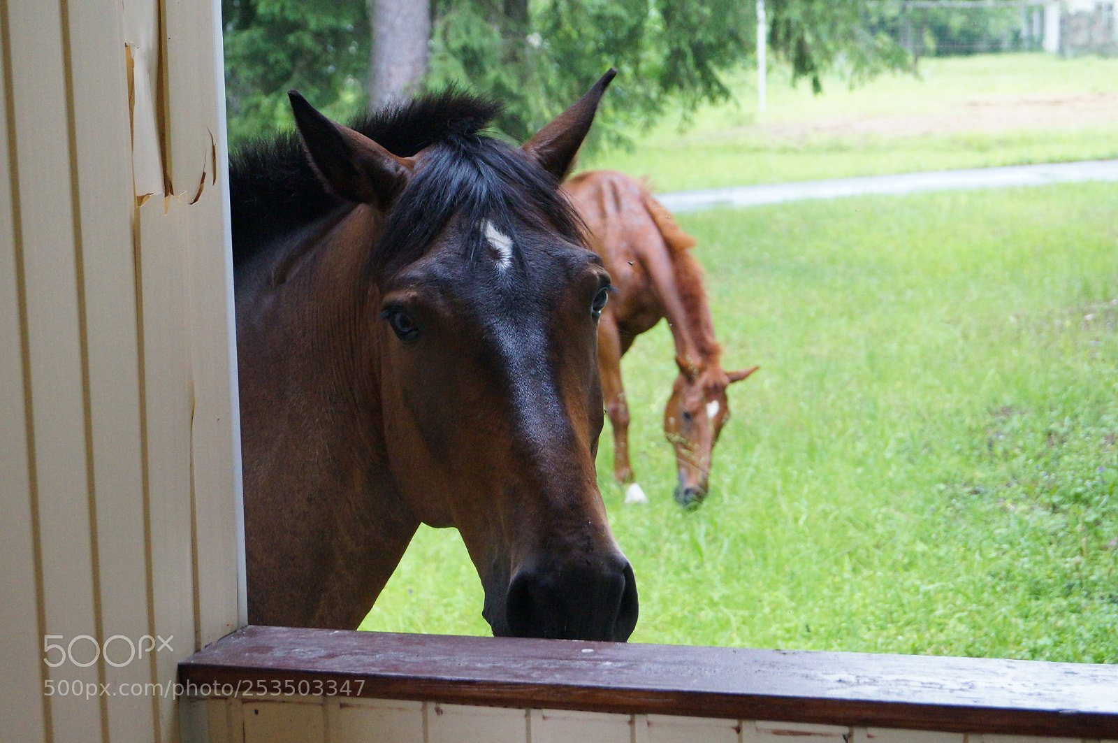 Sony SLT-A57 sample photo. Untitled photography