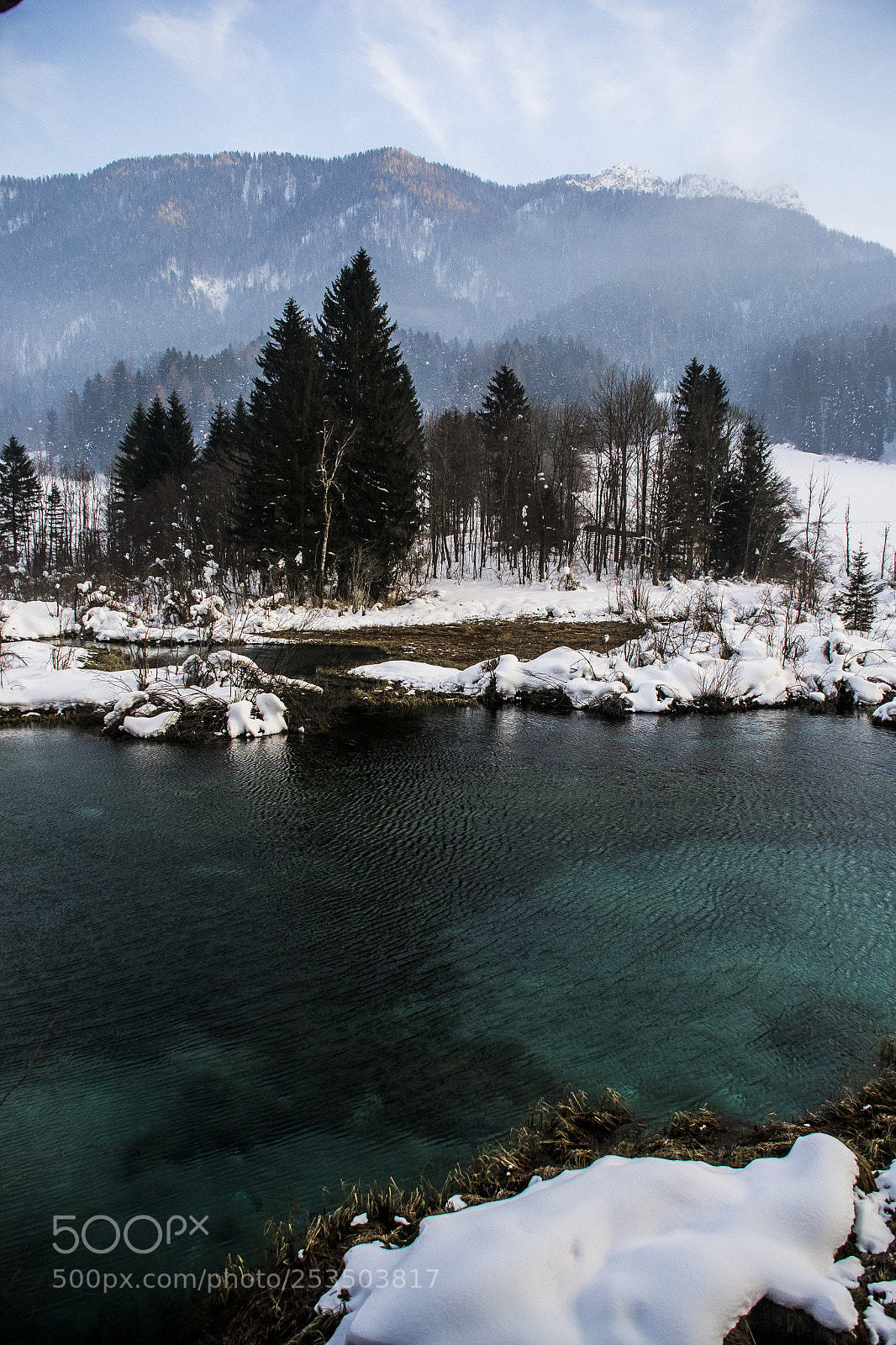 Nikon D3100 sample photo. Zelenci spring photography