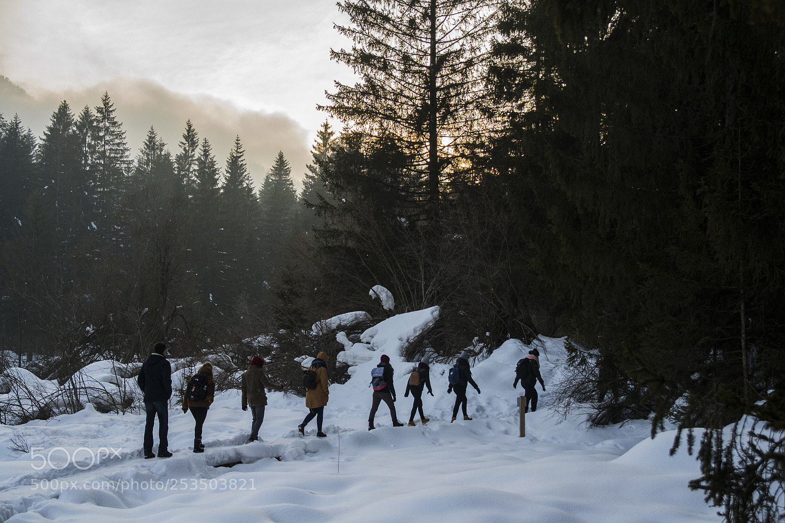 Nikon D3100 sample photo. Zelenci dwarves photography