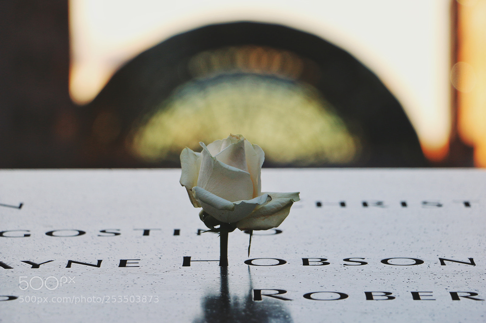 Canon EOS 70D sample photo. Eternal memory photography