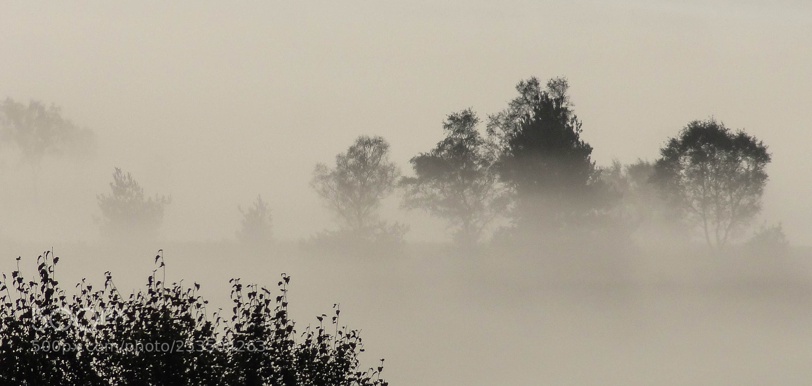 Sony Cyber-shot DSC-HX9V sample photo. Chobham common mist photography