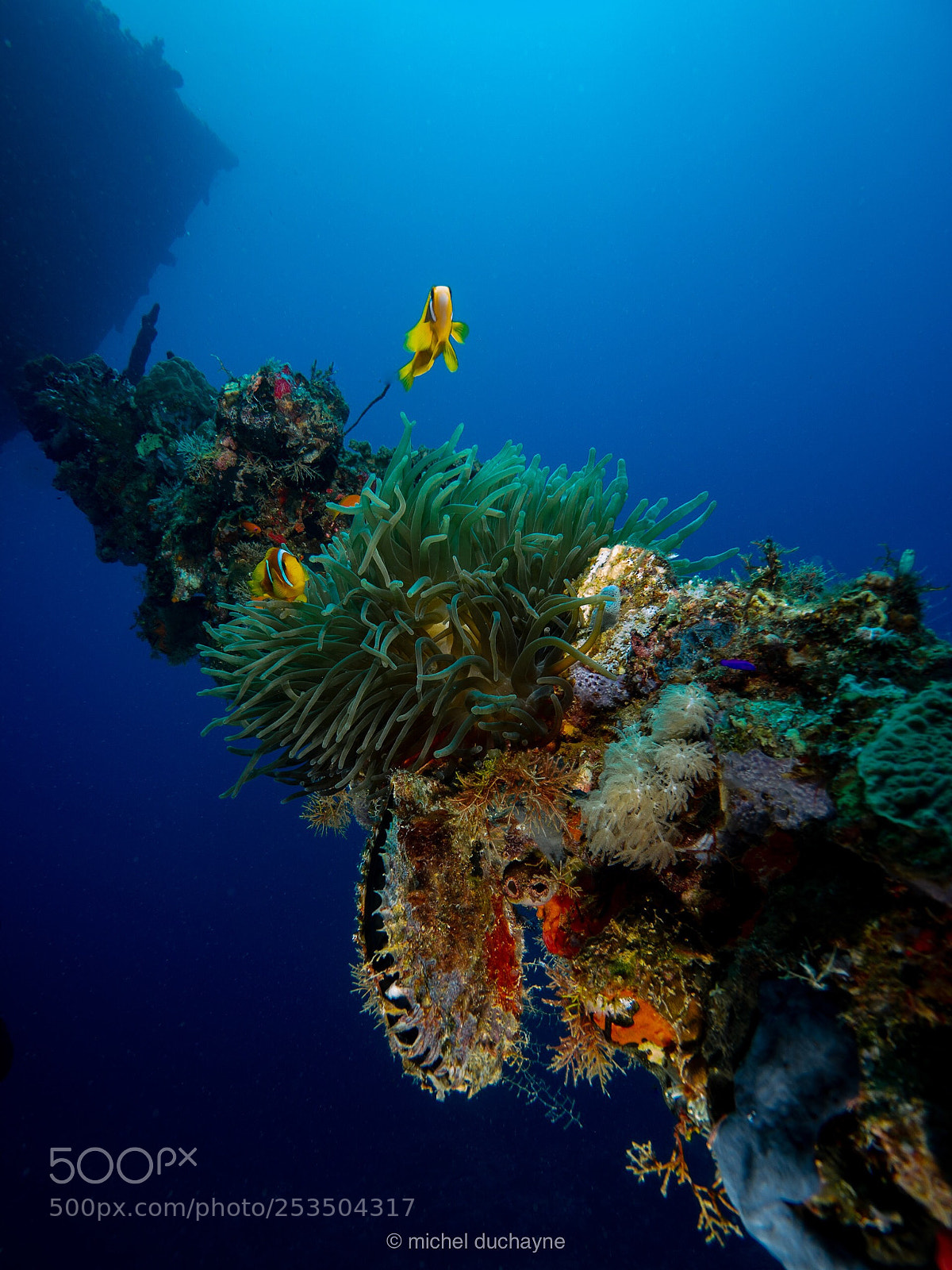 Olympus OM-D E-M10 II sample photo. Umbria’s wreck photography