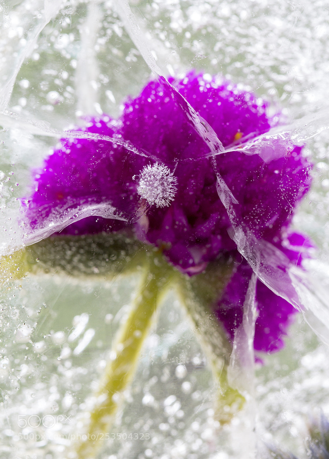 Canon EOS 60D sample photo. The perfect crystal photography
