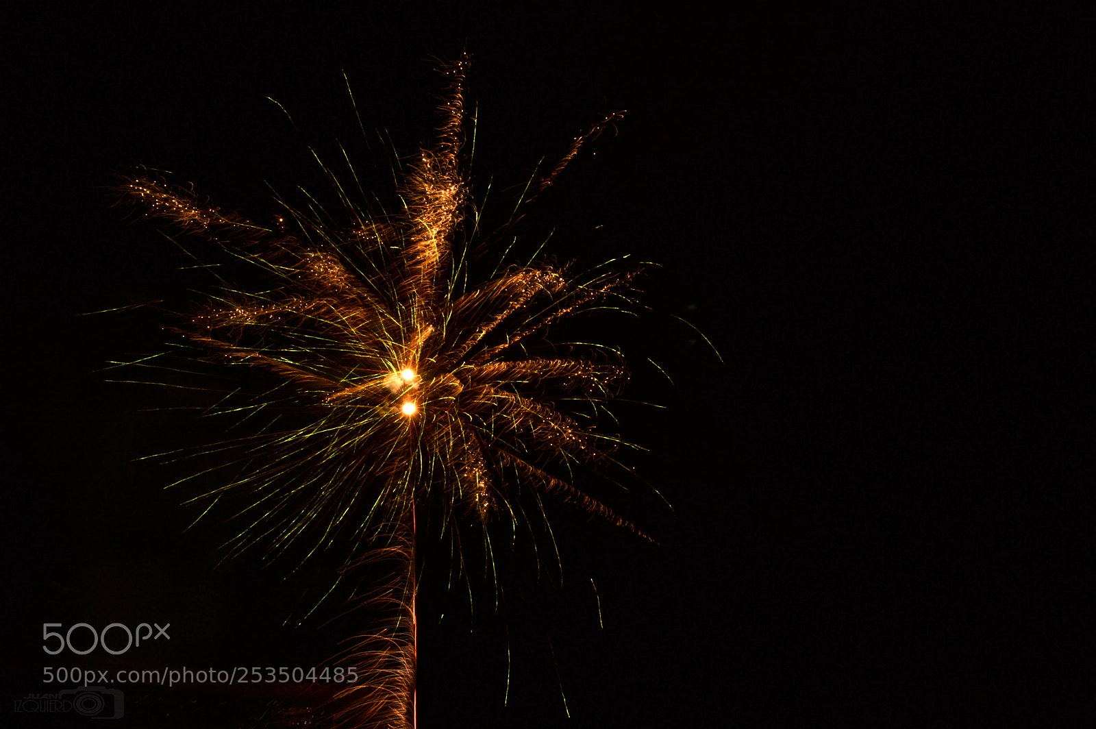 Nikon D3200 sample photo. Palmera artificial photography