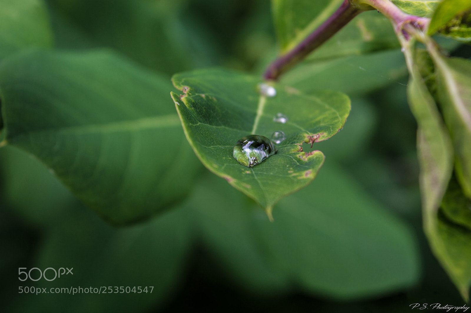 Nikon D3200 sample photo. Untitled photography