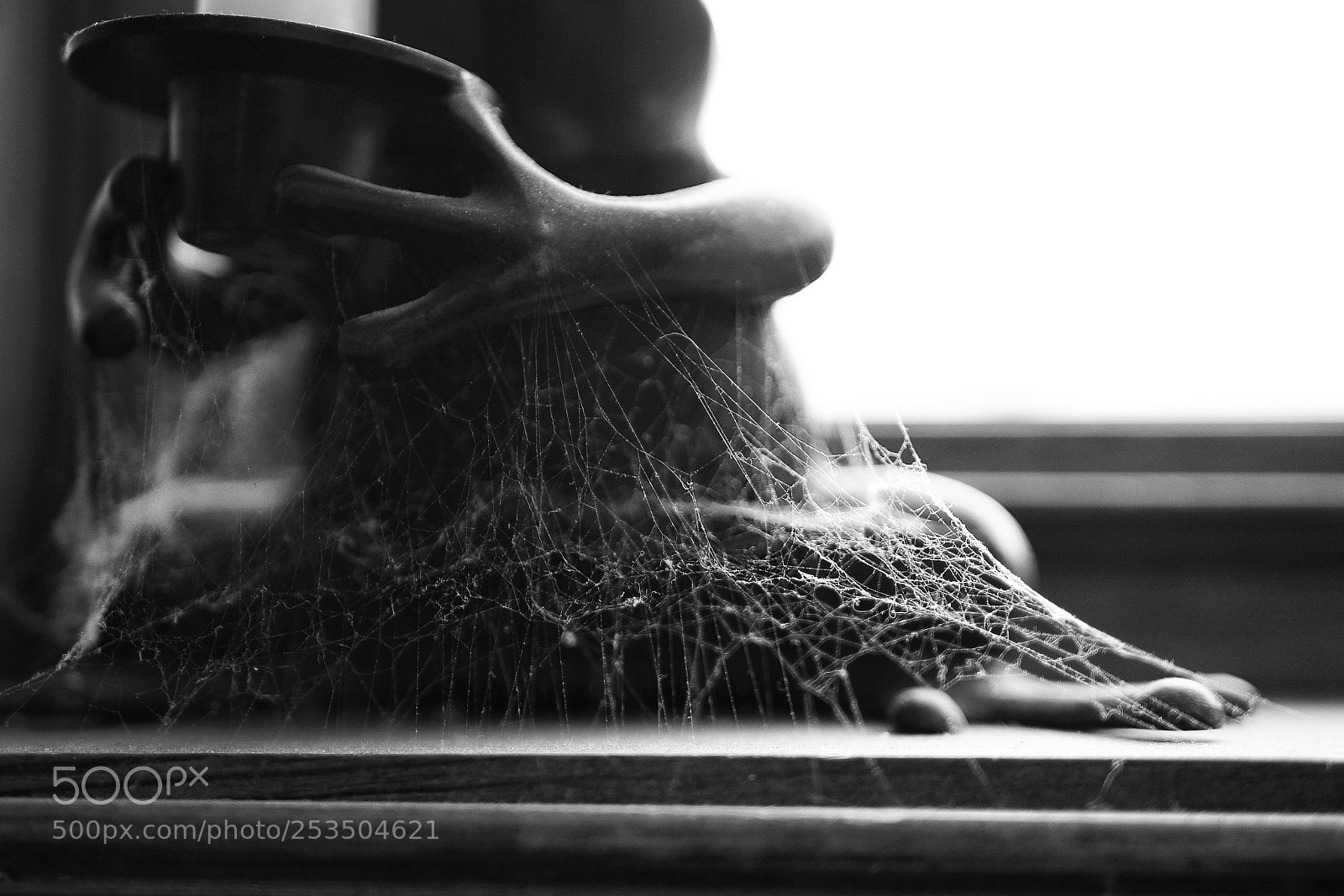 Olympus OM-D E-M10 II sample photo. Cobwebs photography