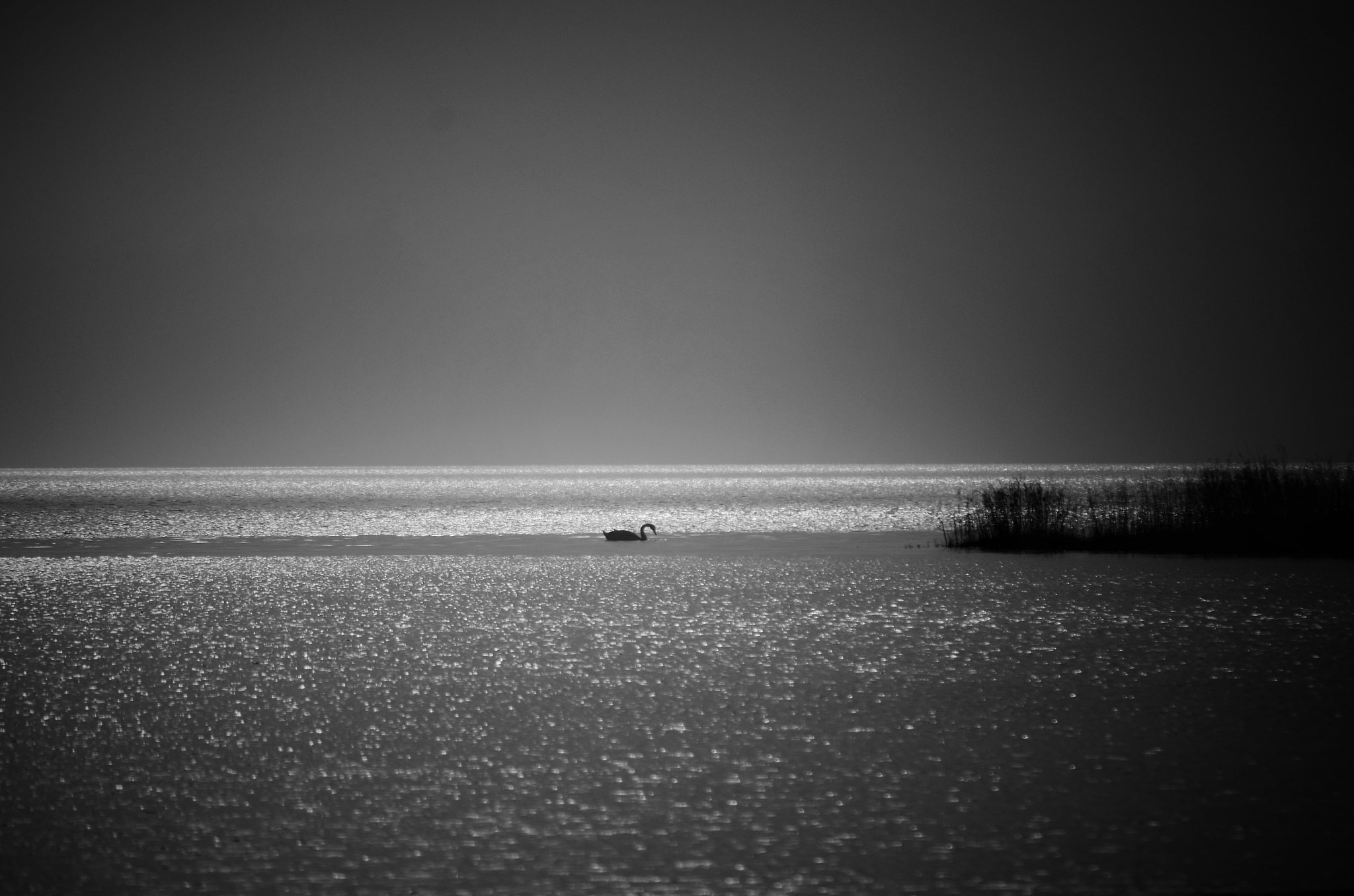 Nikon D7000 sample photo. Serenity photography