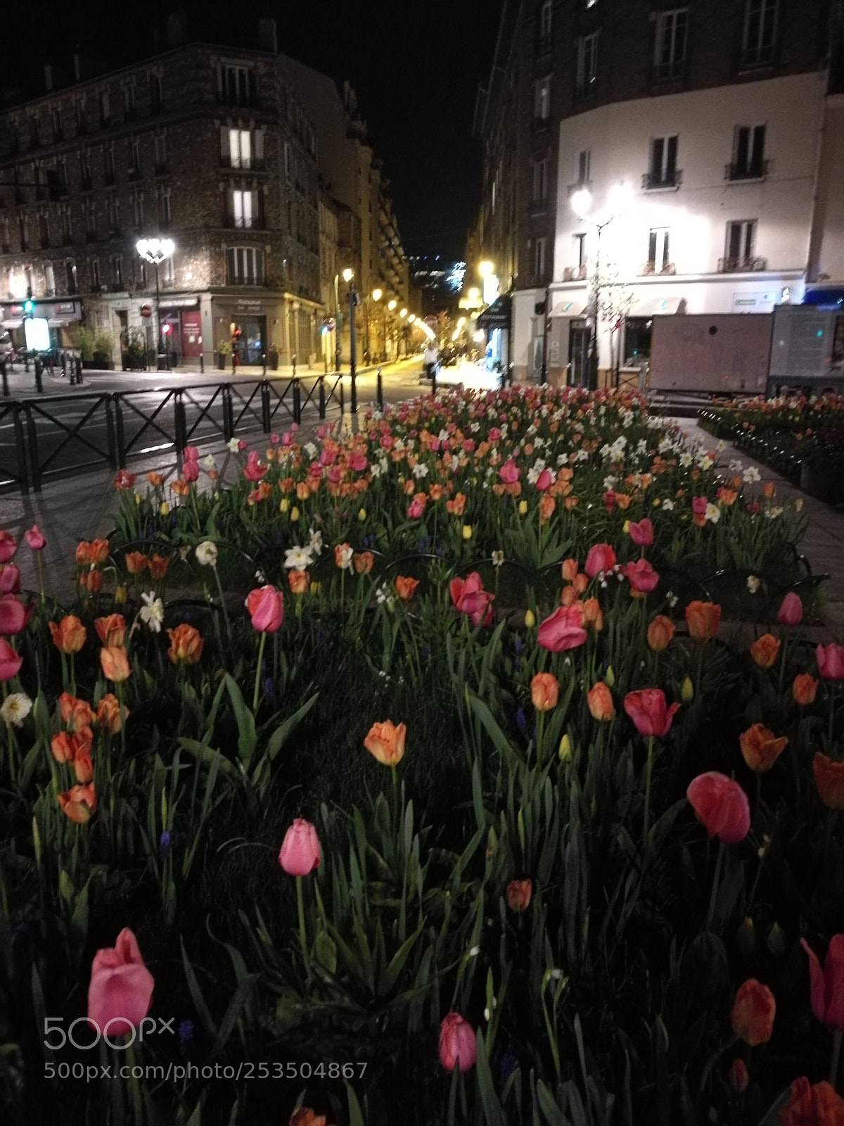 HUAWEI Honor 8 sample photo. La campagne à paris photography