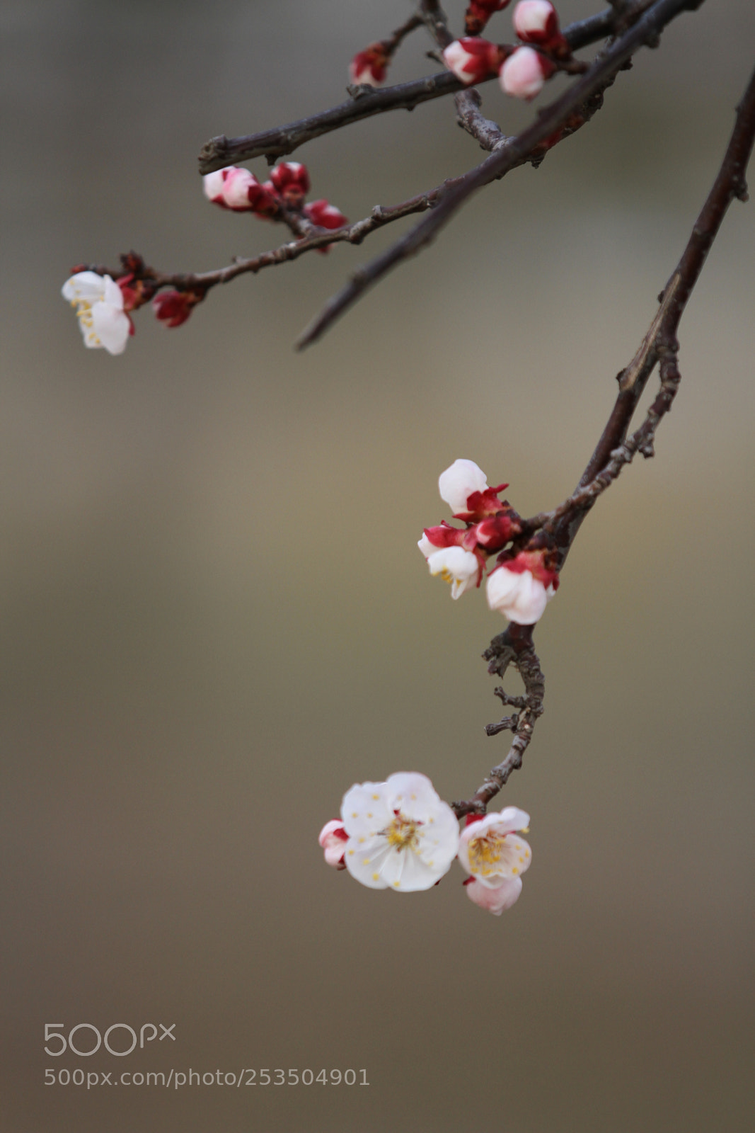 Canon EOS 7D sample photo. Untitled photography
