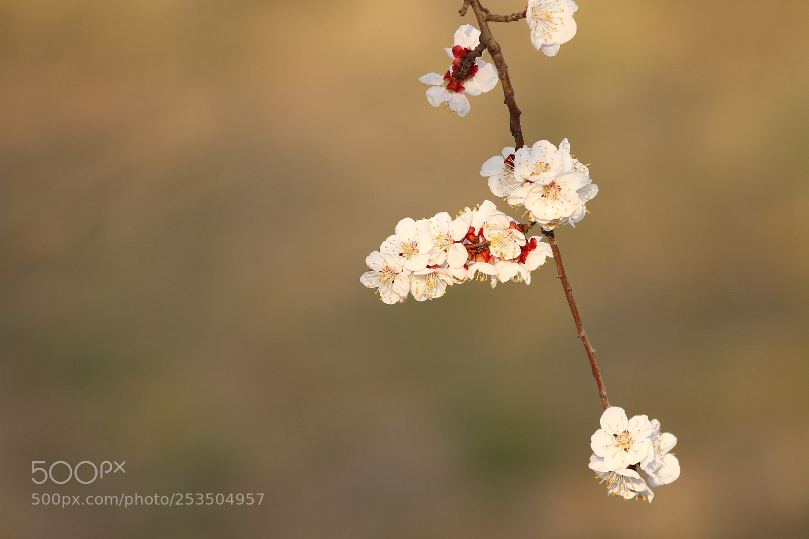 Canon EOS 7D sample photo. Untitled photography