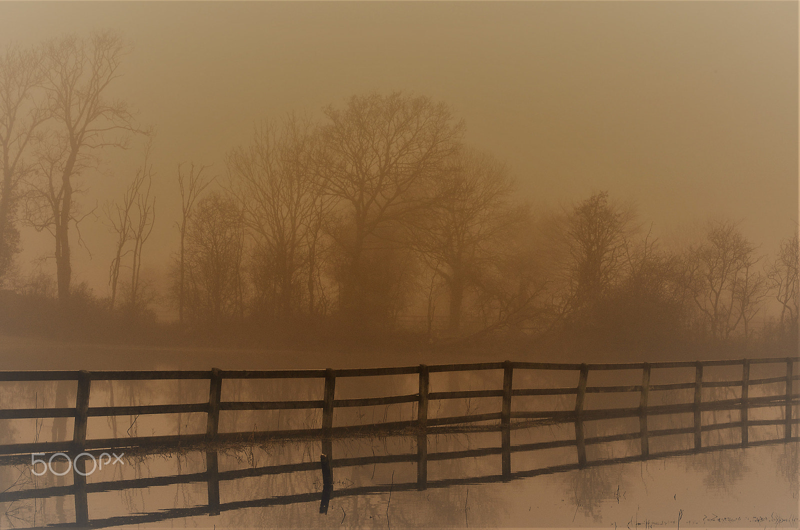 Nikon D7000 sample photo. Serenity 2 photography
