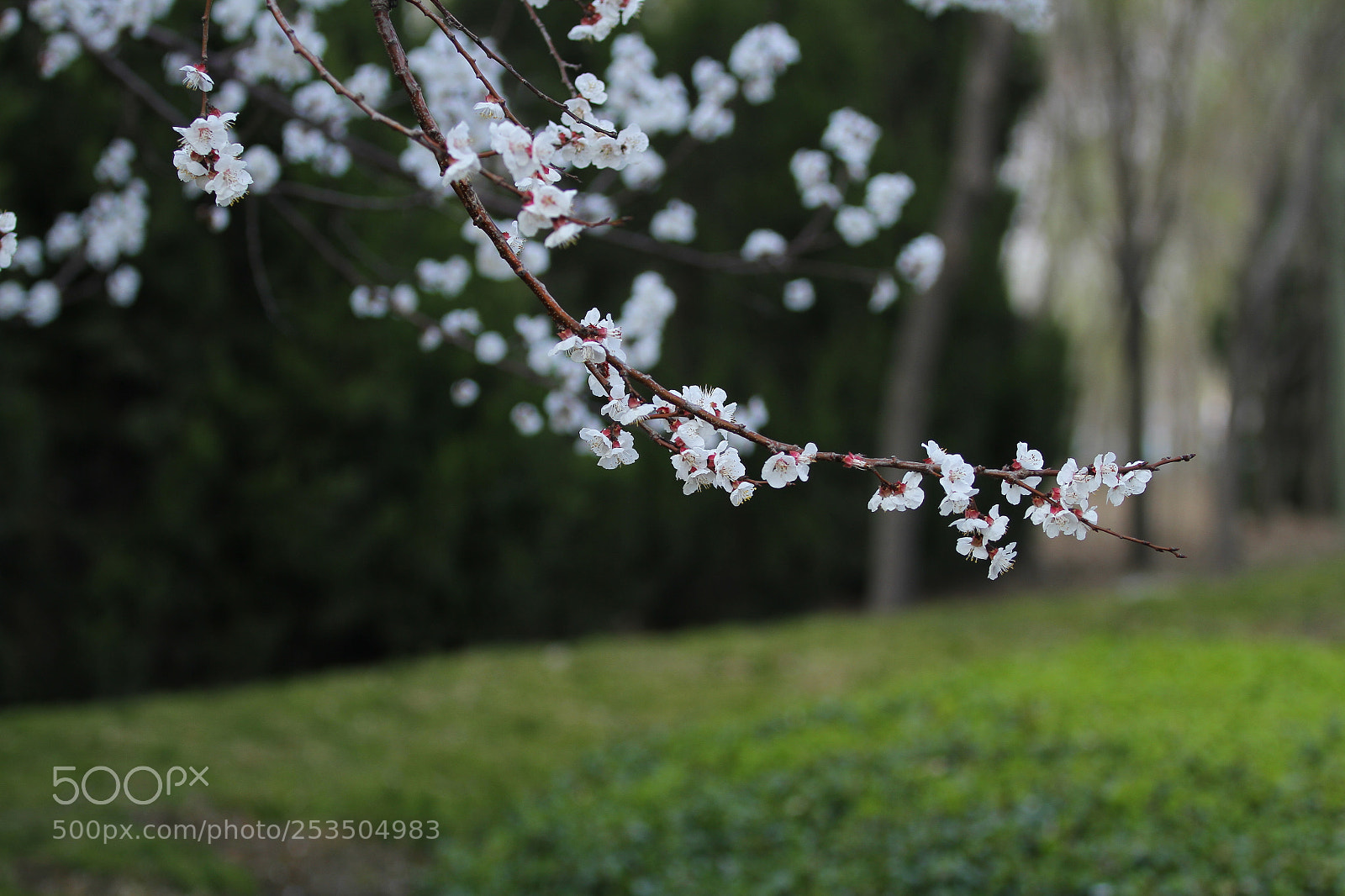 Canon EOS 7D sample photo. Untitled photography