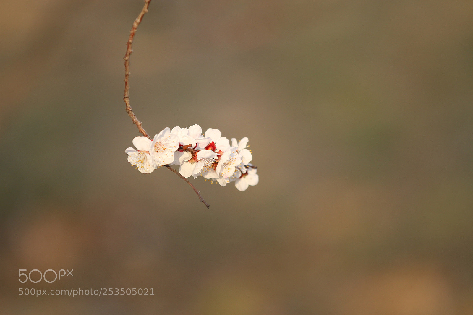 Canon EOS 7D sample photo. Untitled photography