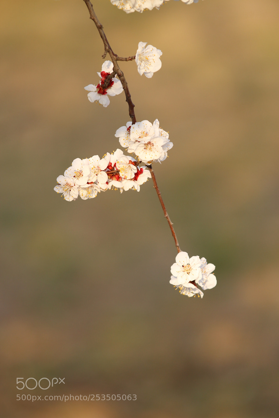 Canon EOS 7D sample photo. Untitled photography